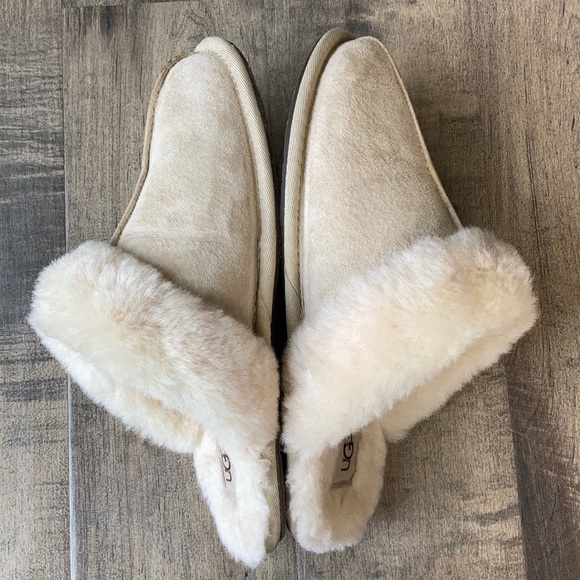 UGG | Shoes | Ugg Scuffette Ii Womens 9 
